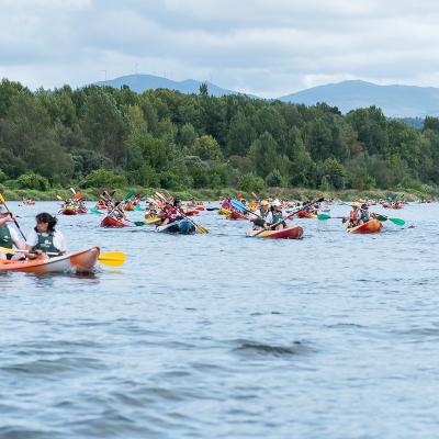 Descenso 50 131 Resized